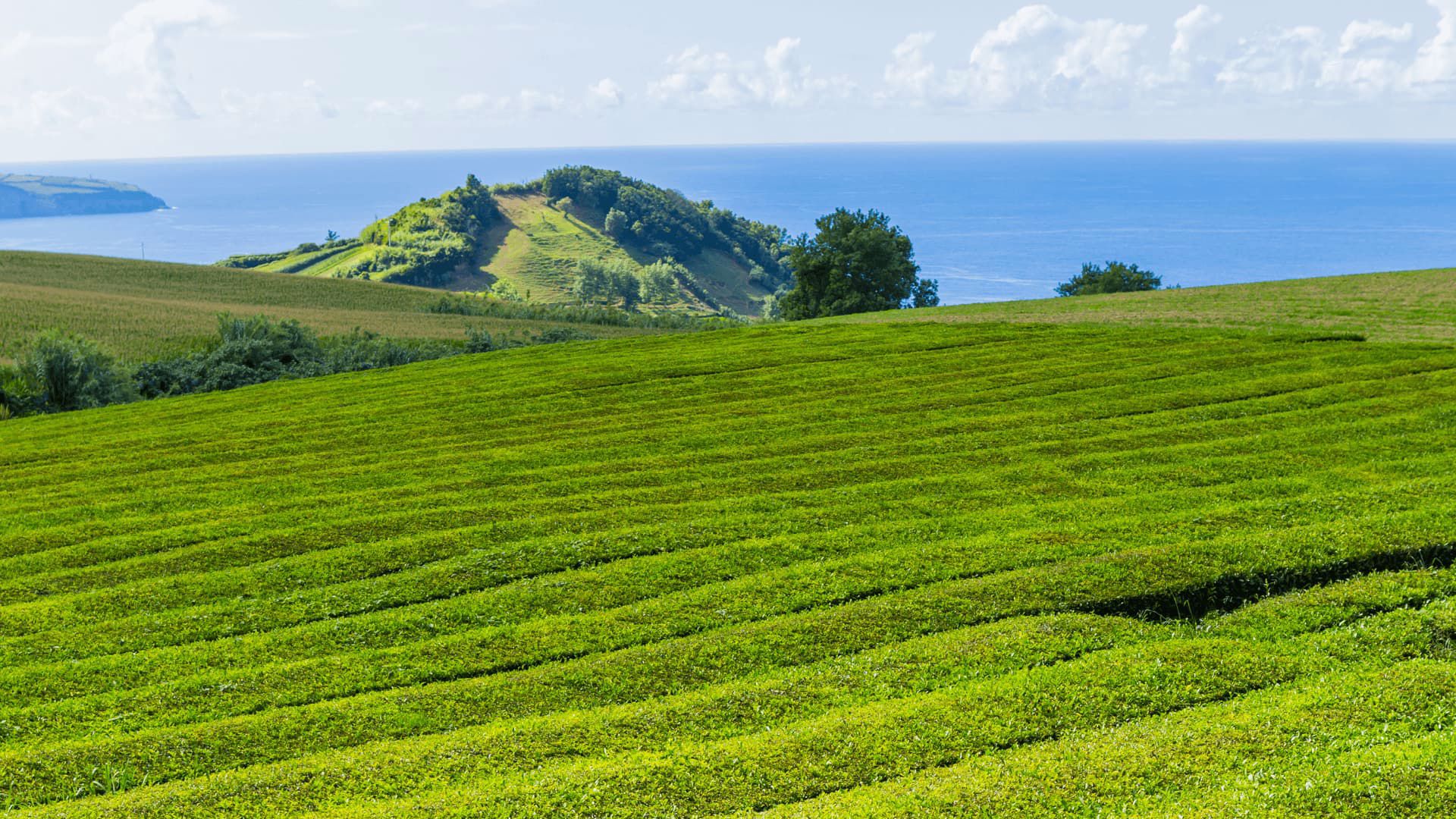açores