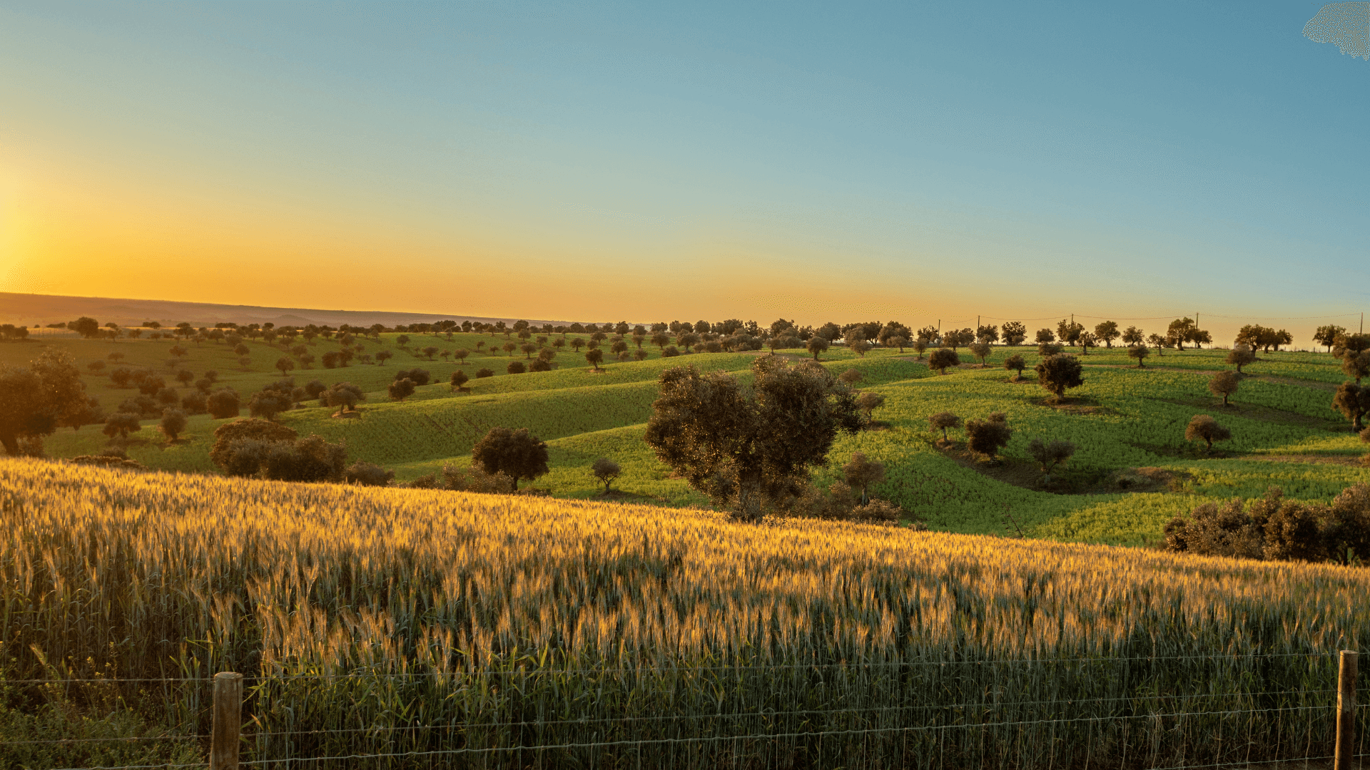 alentejo