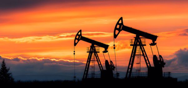 cadeia moda apiccaps