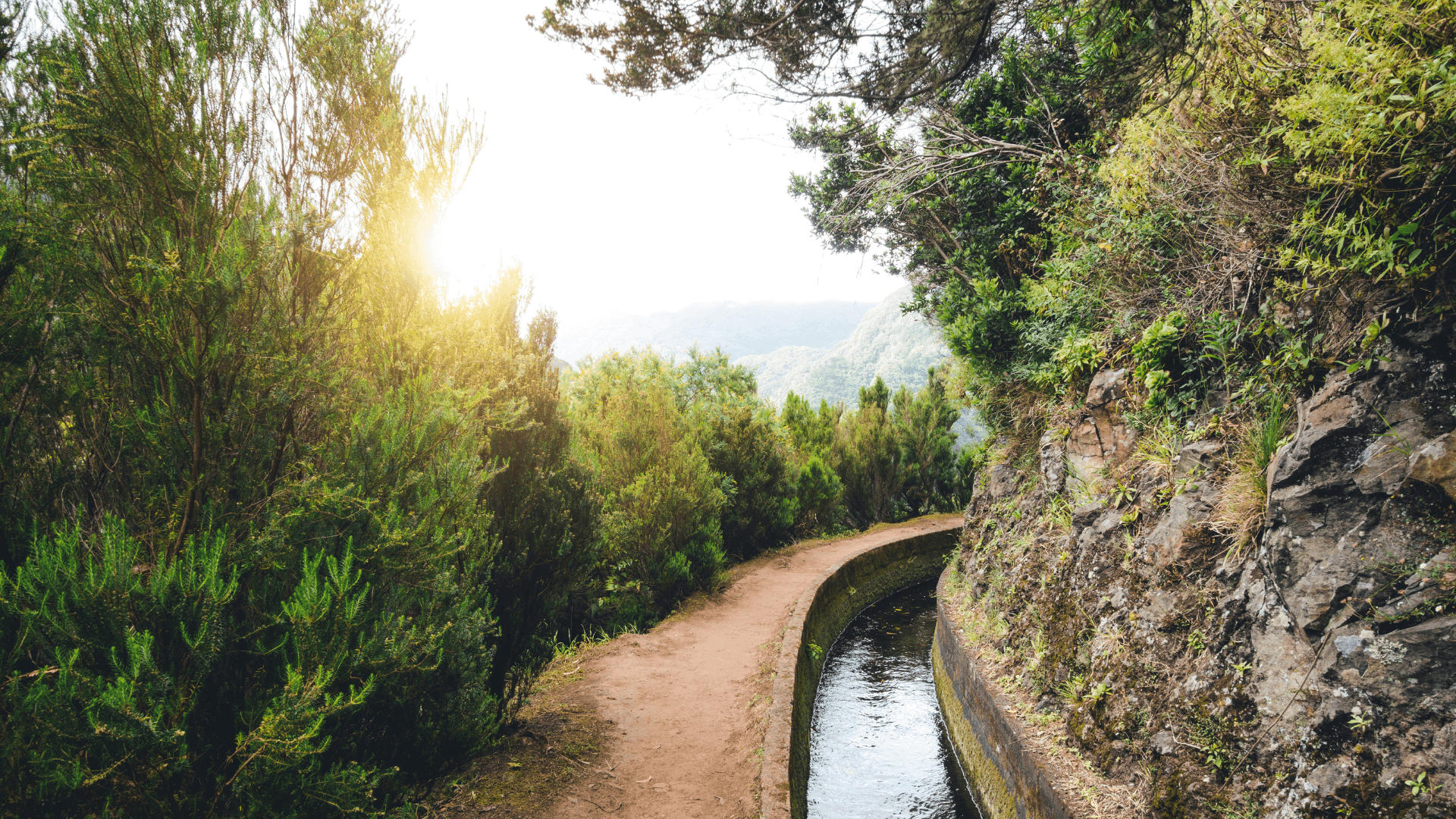 Madeira