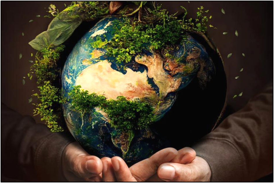 Agroalimentar, biodiversidade e floresta