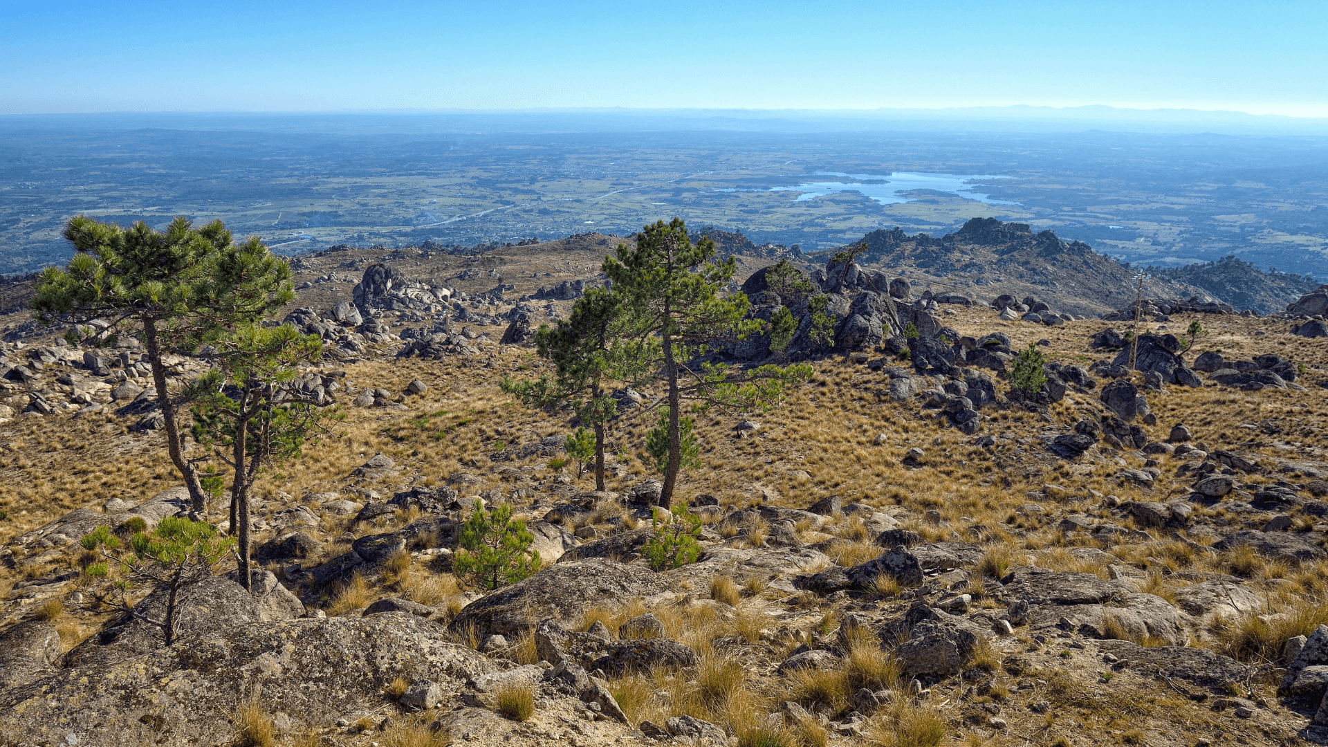 castelo branco