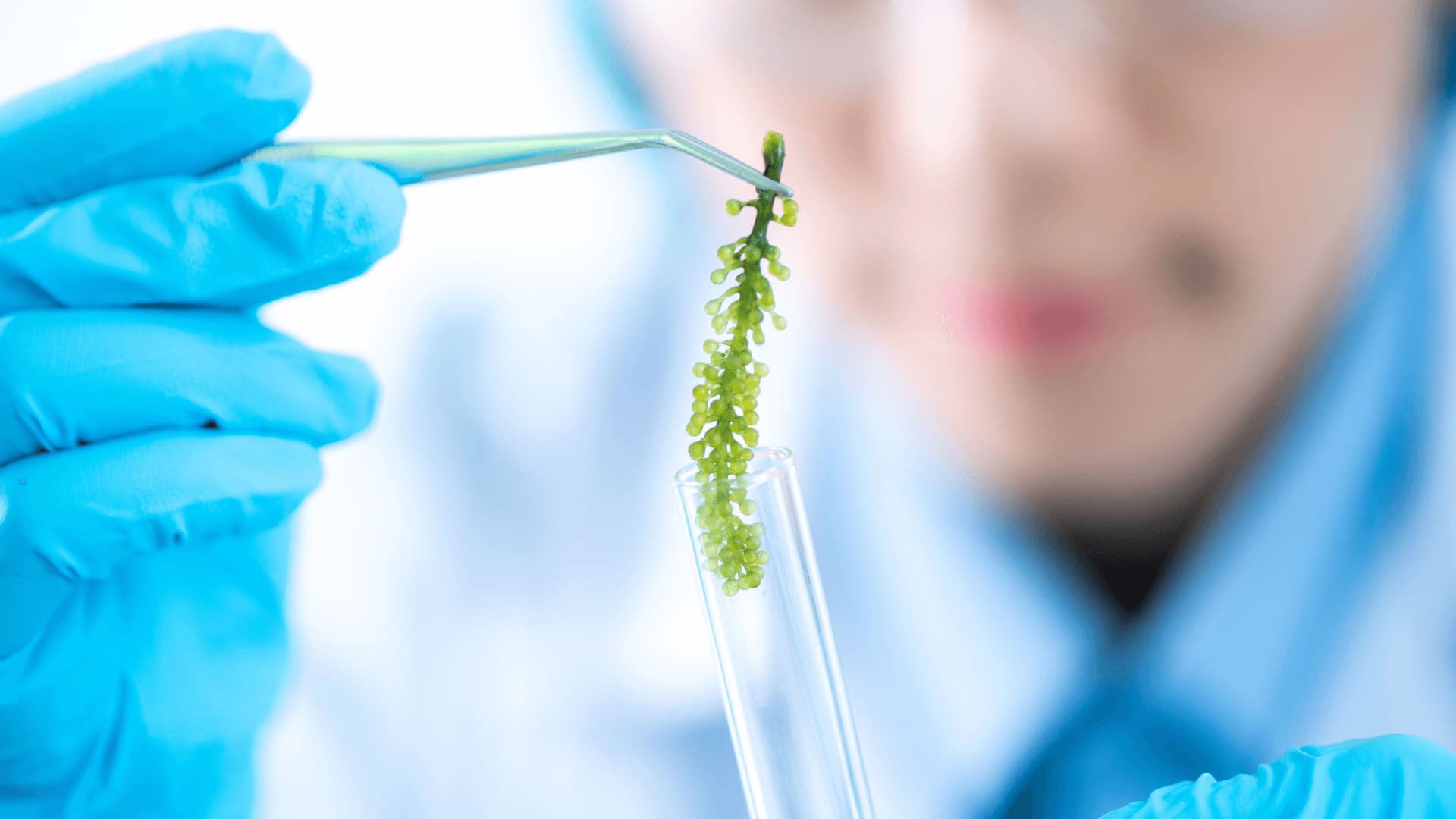 Bioeconomia