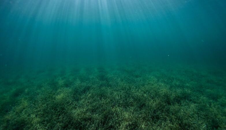 fundo do mar