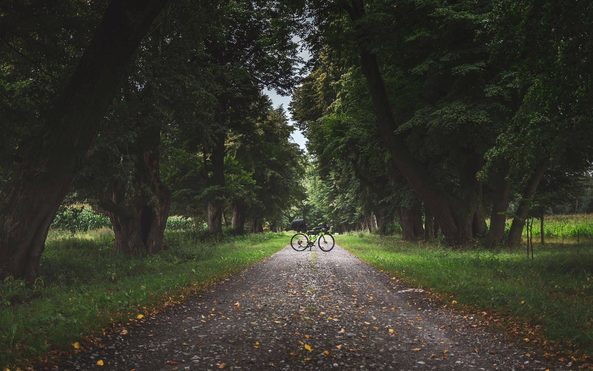 ciclovias
