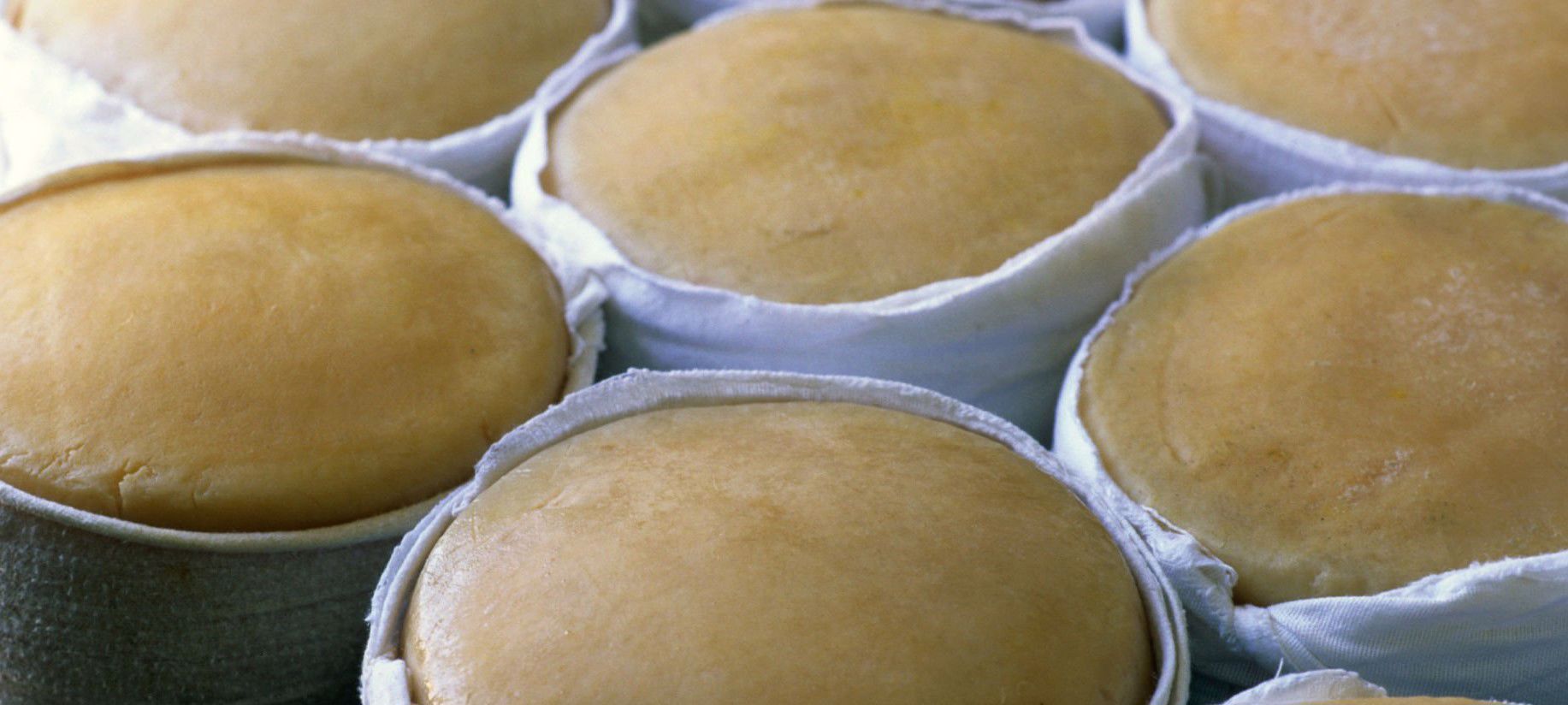 queijo