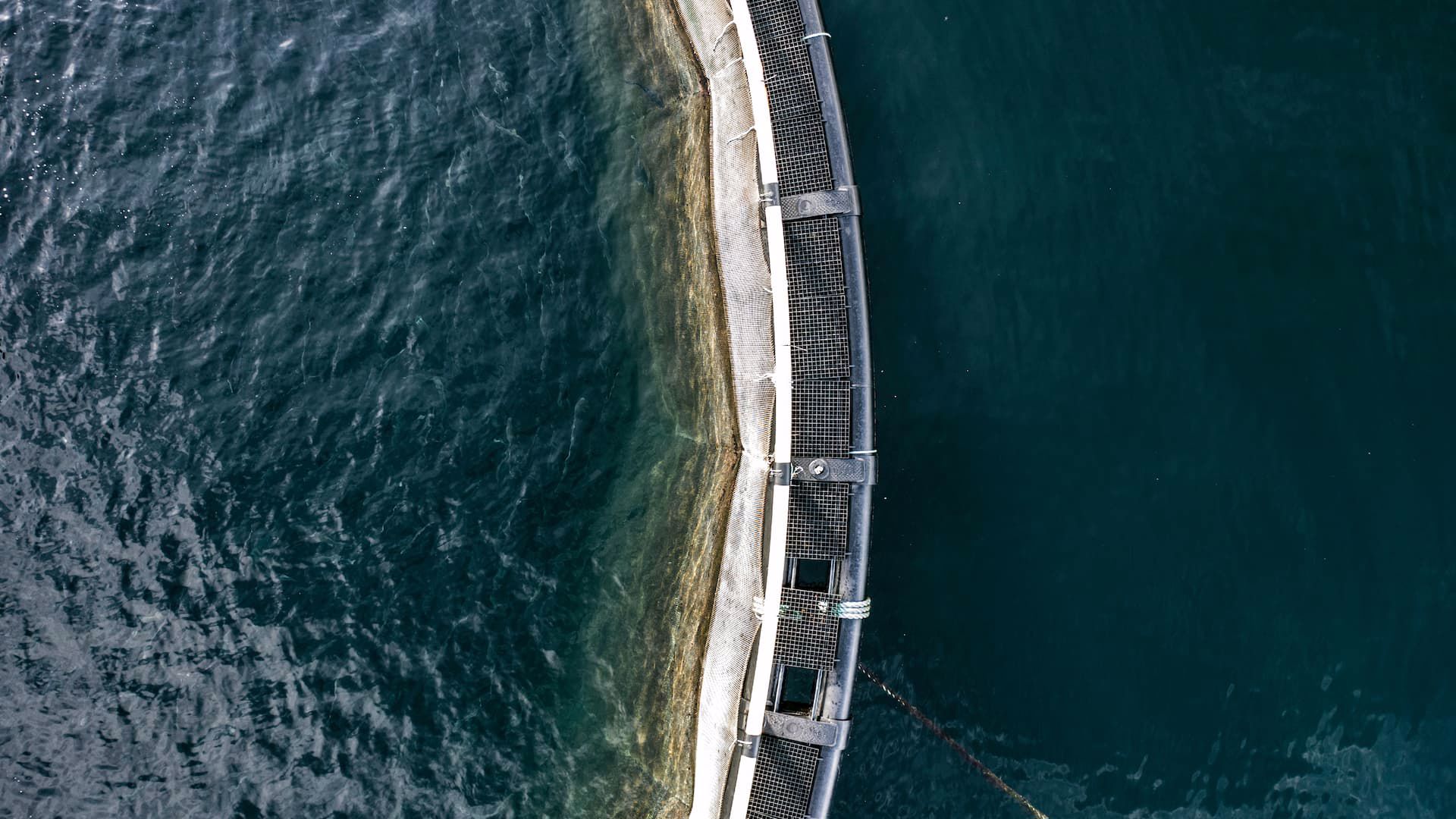 Aquacultura