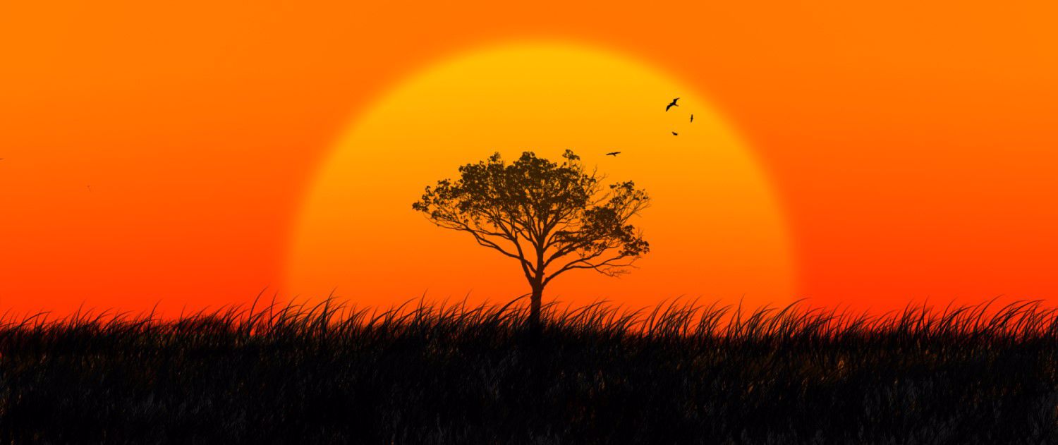 Por do Sol