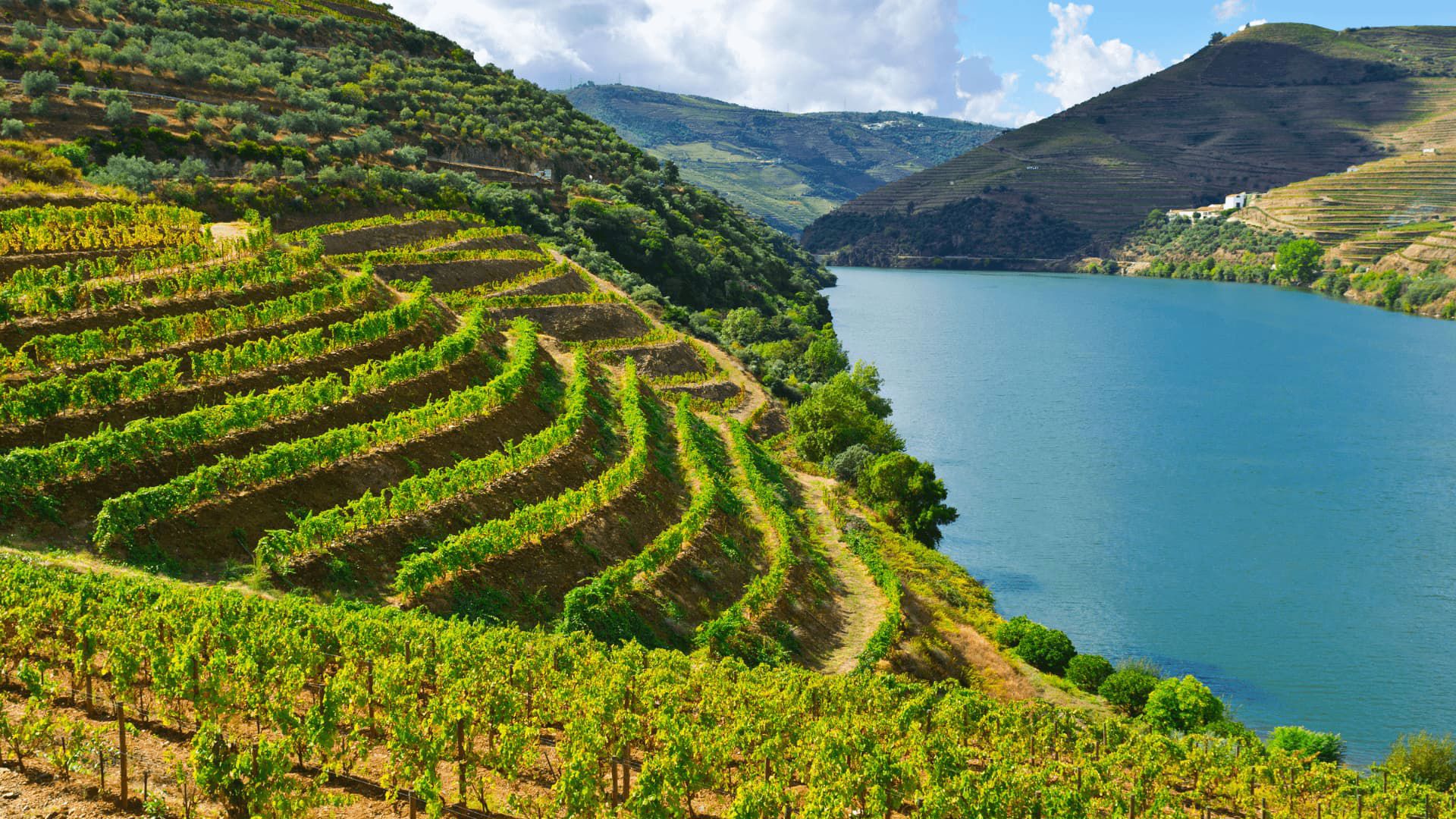 douro