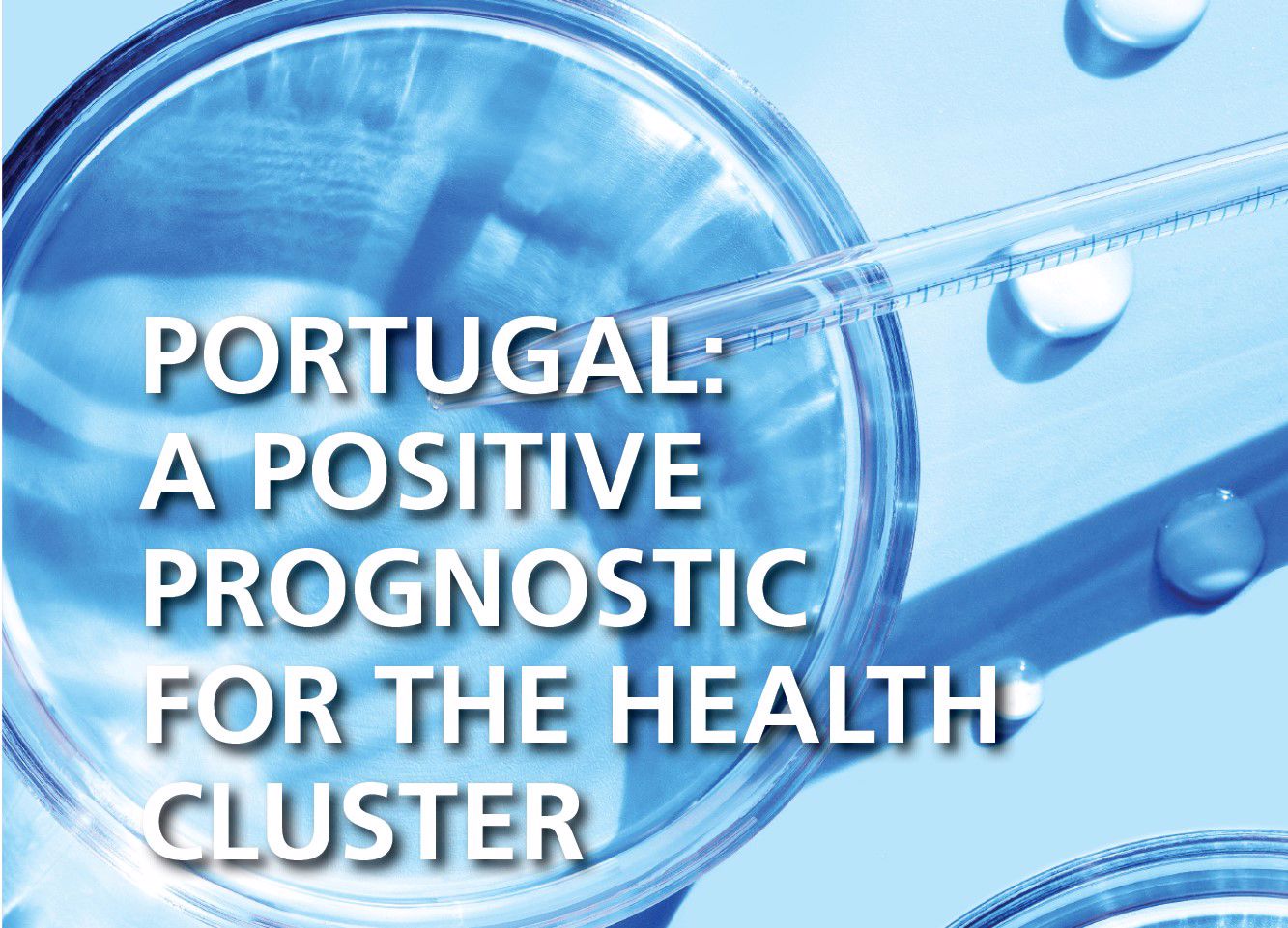 Revista Portugalglobal Nov 2024 EN