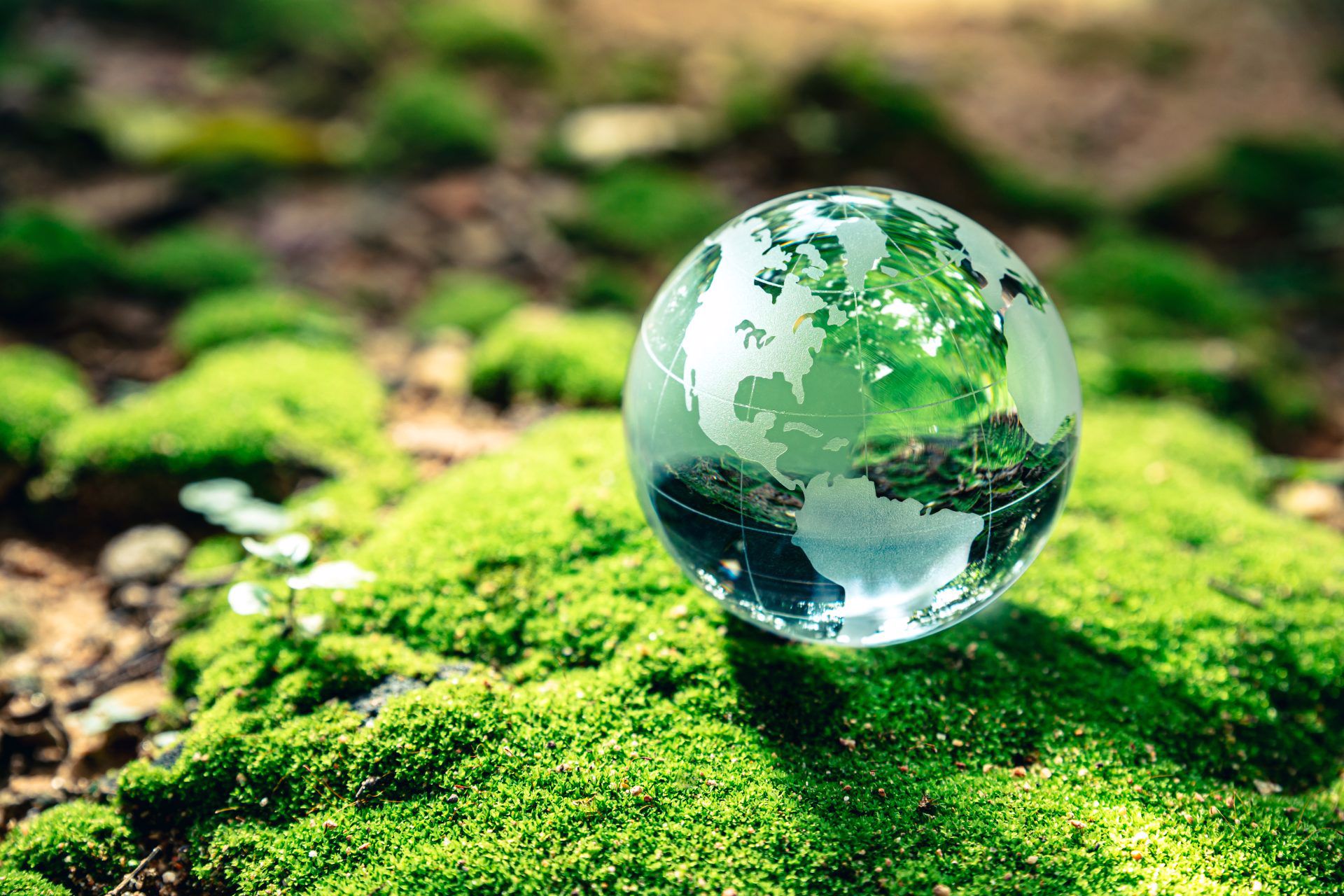 Economia Circular e Sustentabilidade Urbana 