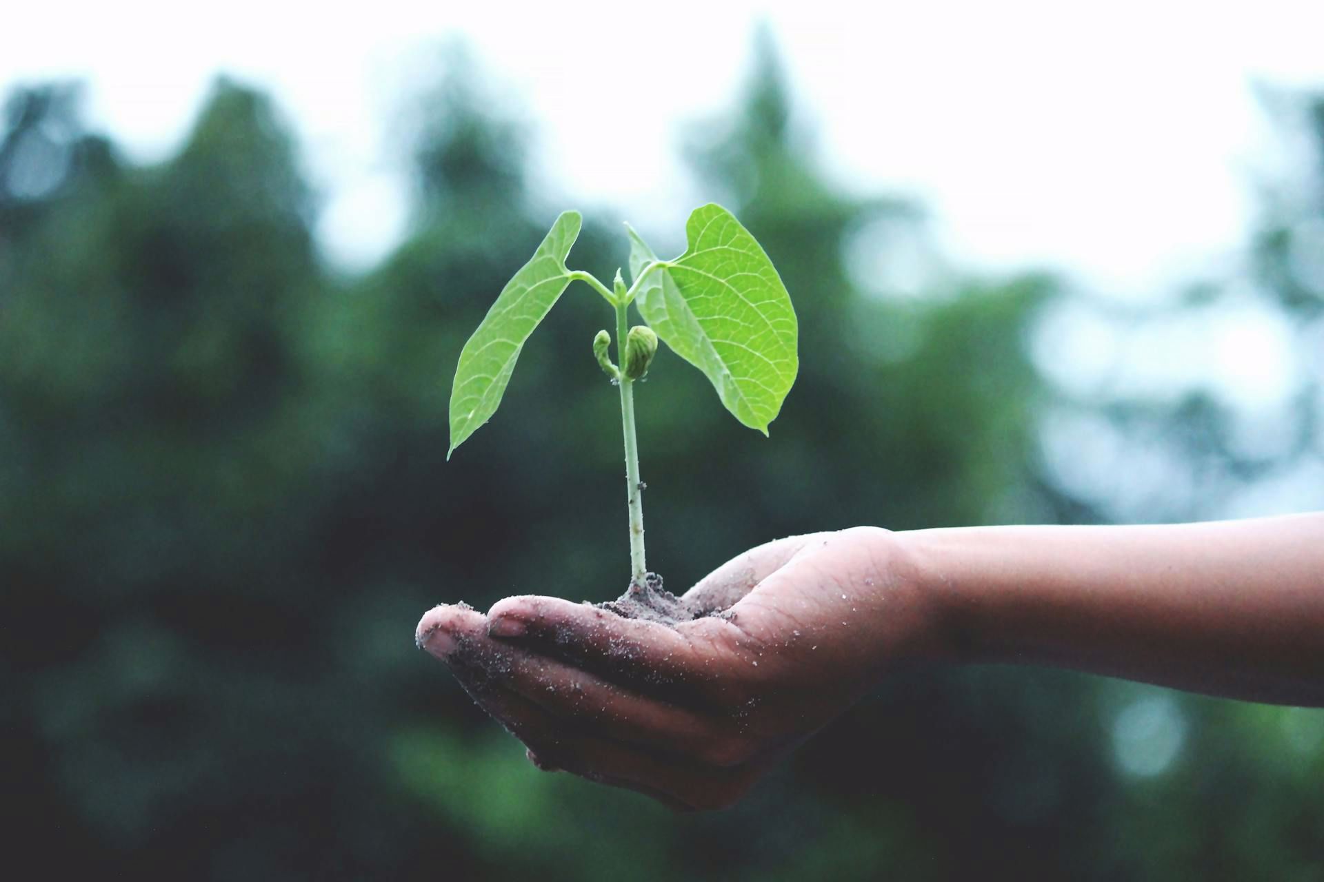 A capacitação nos critérios ESG é incontornável