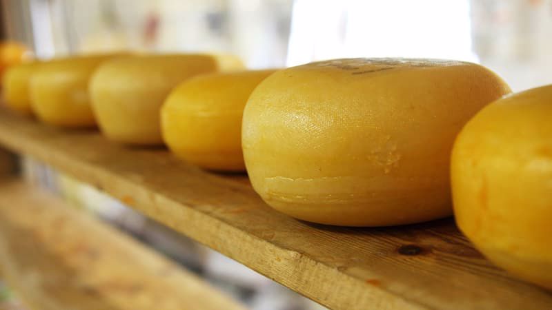 queijo