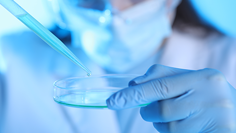 Revista Portugalglobal