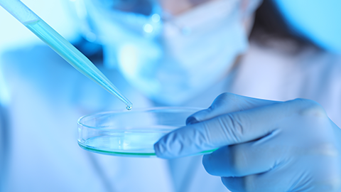 Portugalglobal Magazine