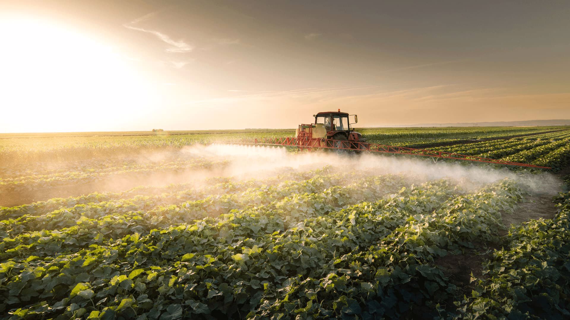 Agroalimentar