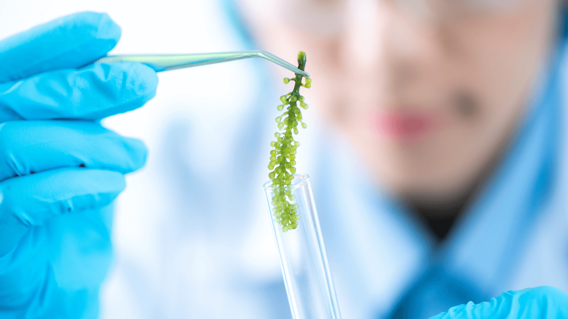 Bioeconomia