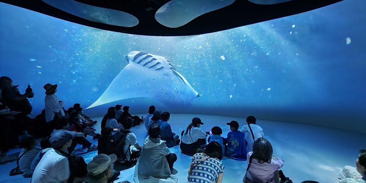 osaka ocubo
