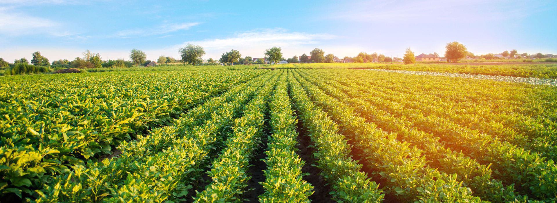Agroalimentar